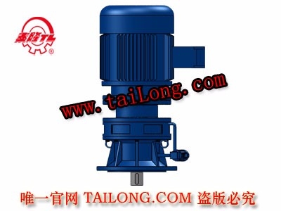 BLY 立式單級普通電機直聯(lián)型擺線針輪減速器（機）