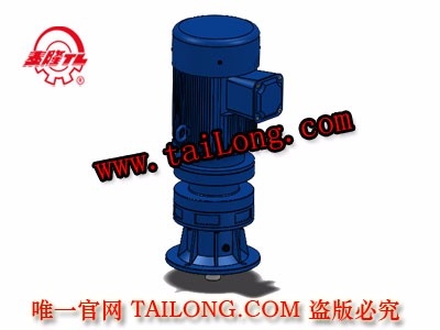 BHLD 立式單級(jí)專用電機(jī)直聯(lián)型化工部擺線針輪減速器（機(jī)）