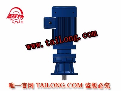 BHLD 立式單級(jí)專用電機(jī)直聯(lián)型化工部擺線針輪減速器（機(jī)）