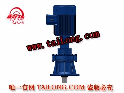 BHLED 立式雙級專用電機直聯(lián)型化工部擺線針輪減速器（機）