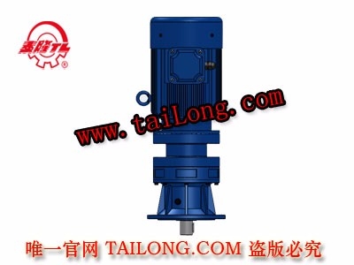 BHLD 立式單級(jí)專用電機(jī)直聯(lián)型化工部擺線針輪減速器（機(jī)）